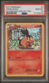 Tepig