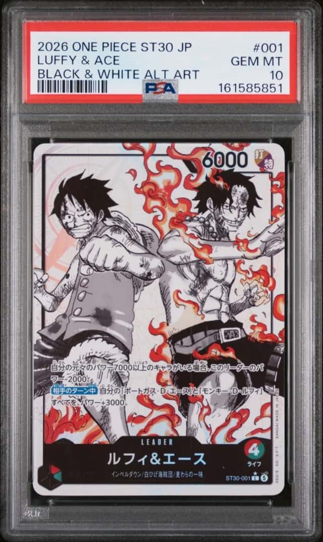 Luffy & Ace