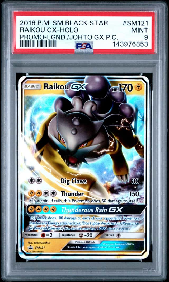 Raikou GX