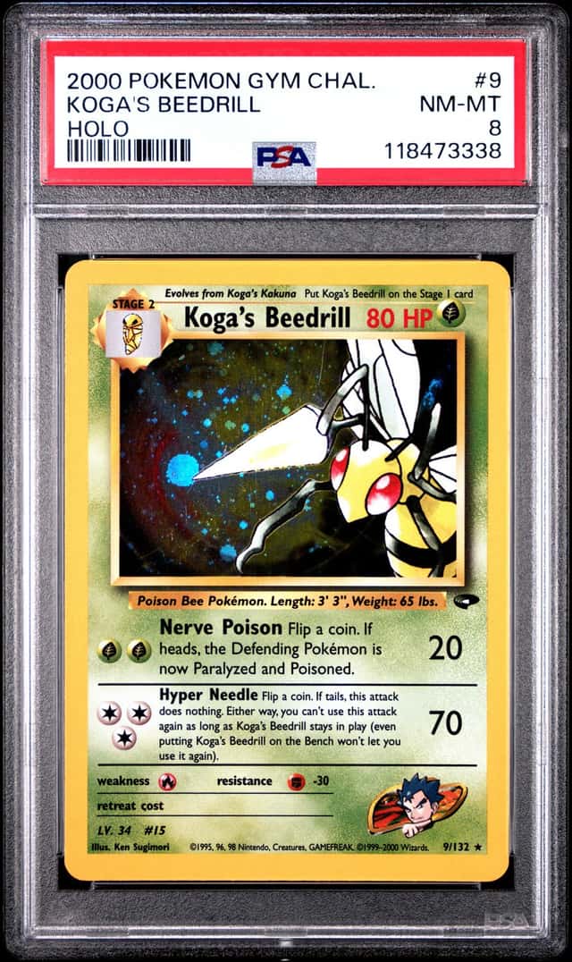 Koga's Beedrill