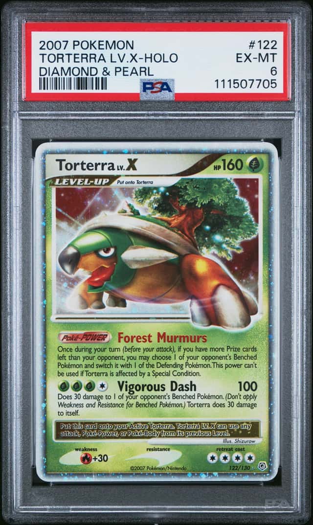 TORTERRA LV.X