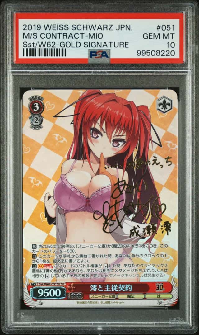 M/S Contract-Mio