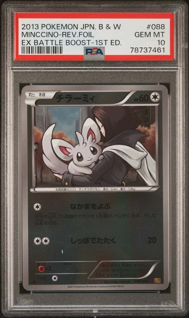 Minccino
