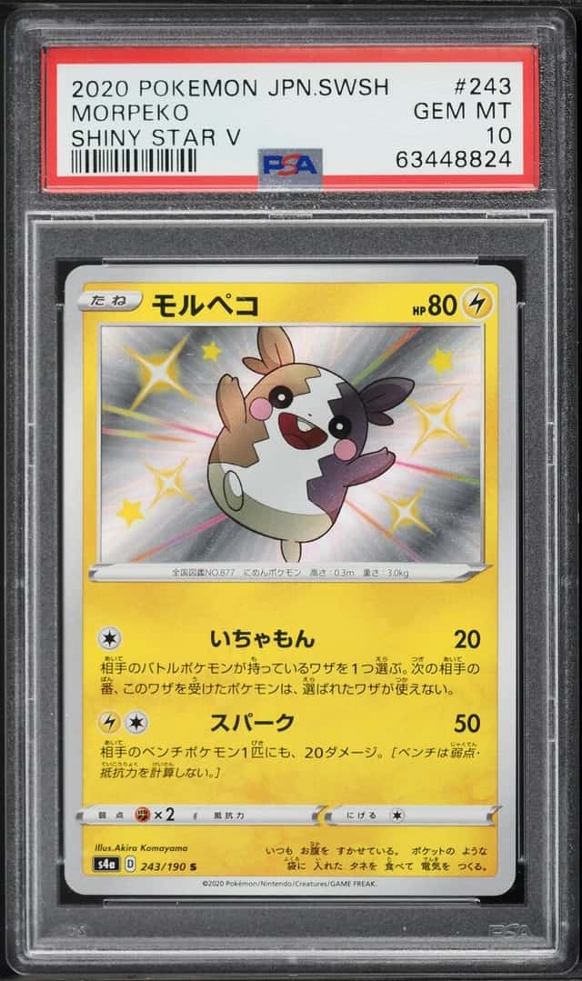 MORPEKO