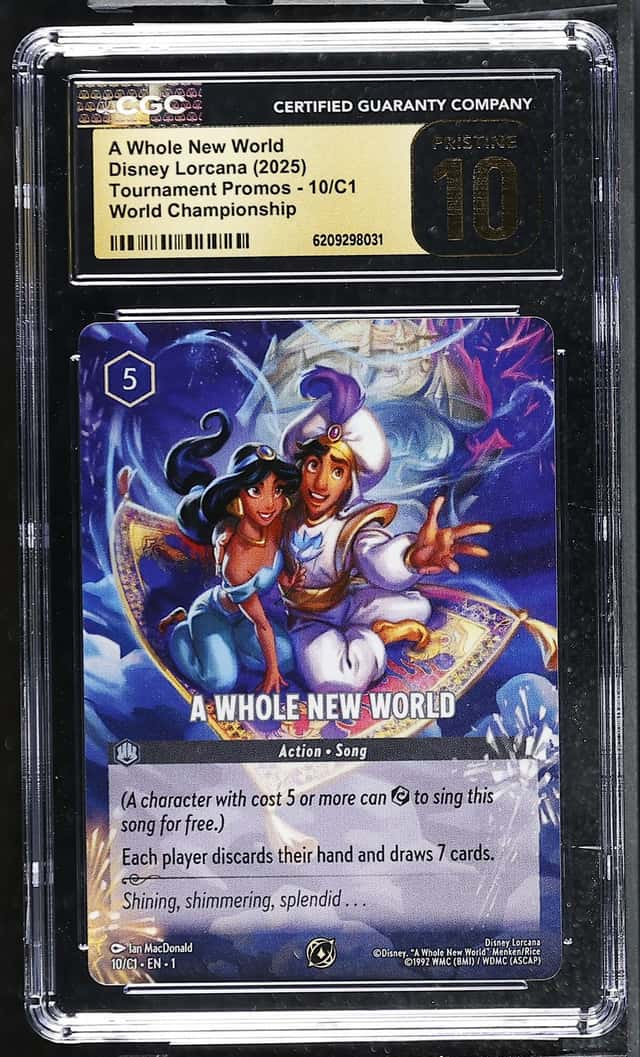 A Whole New World