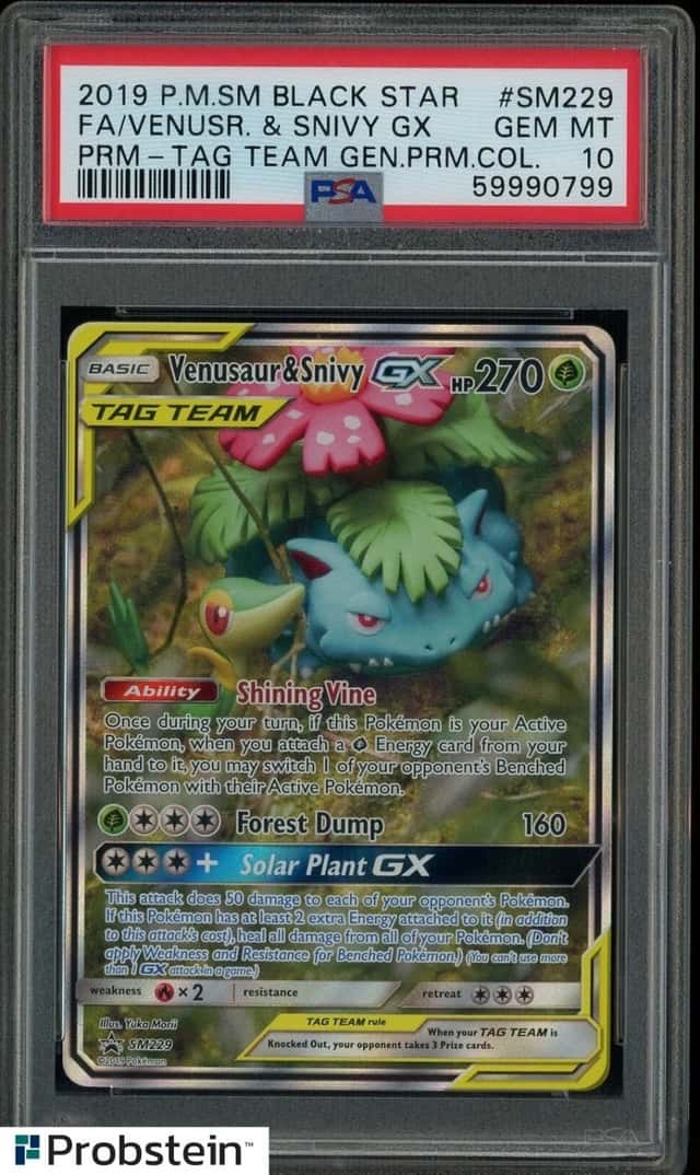 Venusaur & Snivy GX