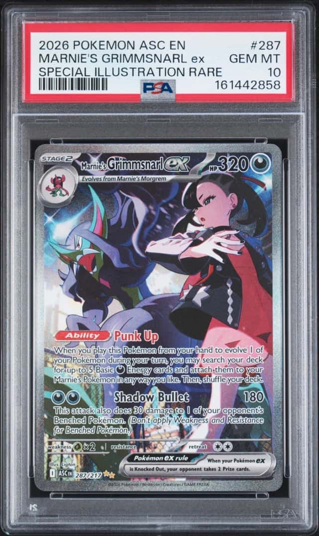 MARNIE'S GRIMMSNARL ex