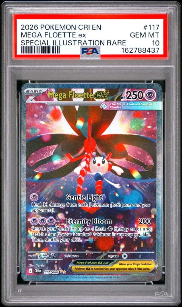 MEGA FLOETTE ex