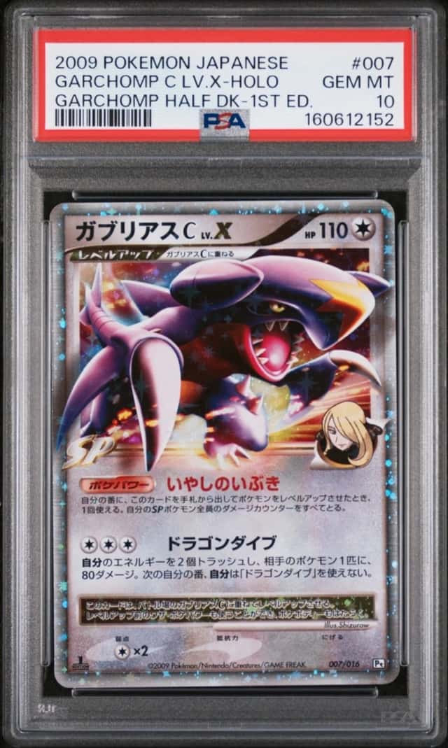 GARCHOMP C LV.X