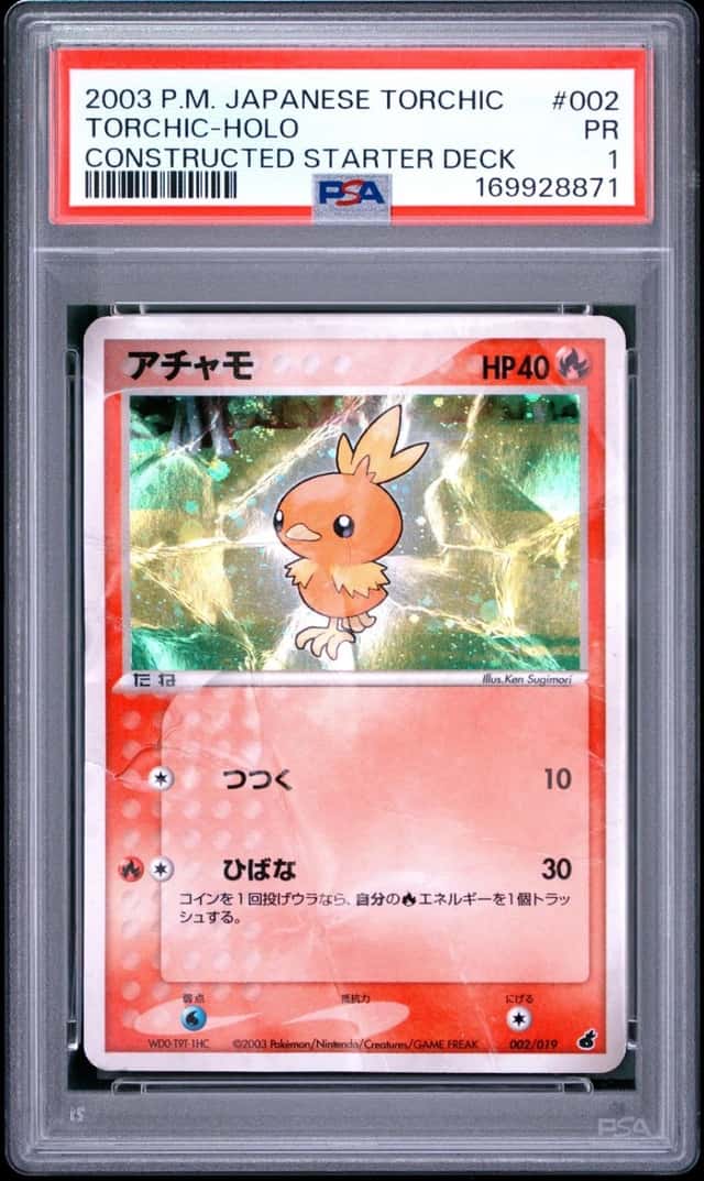 Torchic