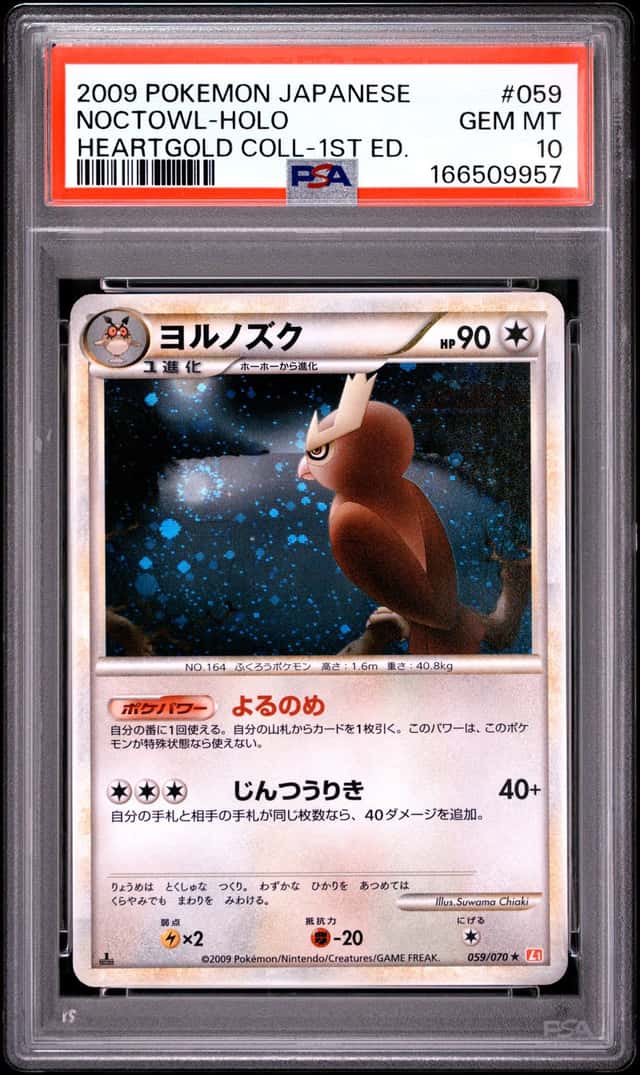 Noctowl