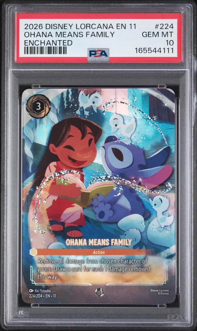 Ohana Means Family