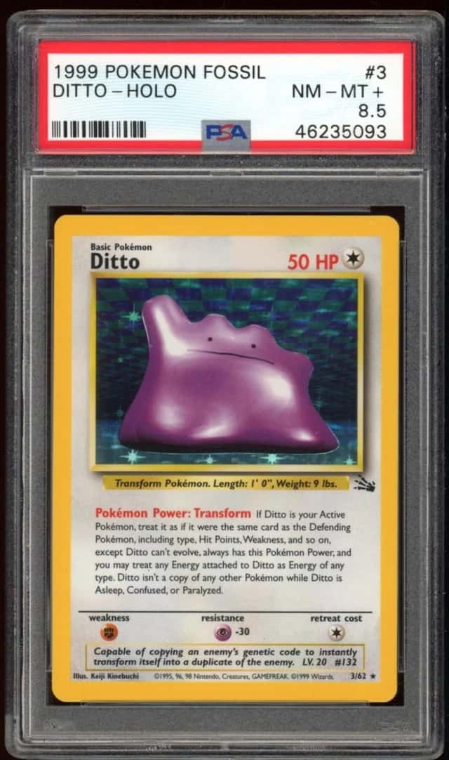 Ditto