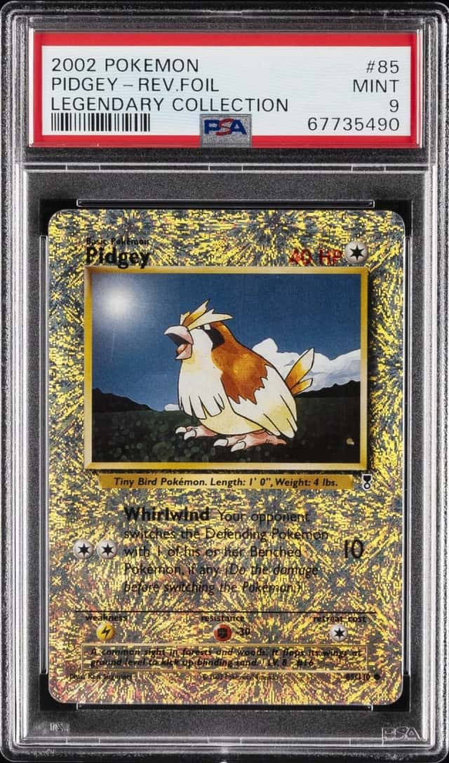 Pidgey