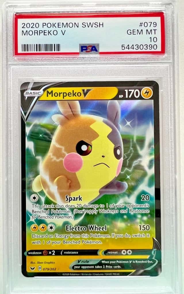 Morpeko V