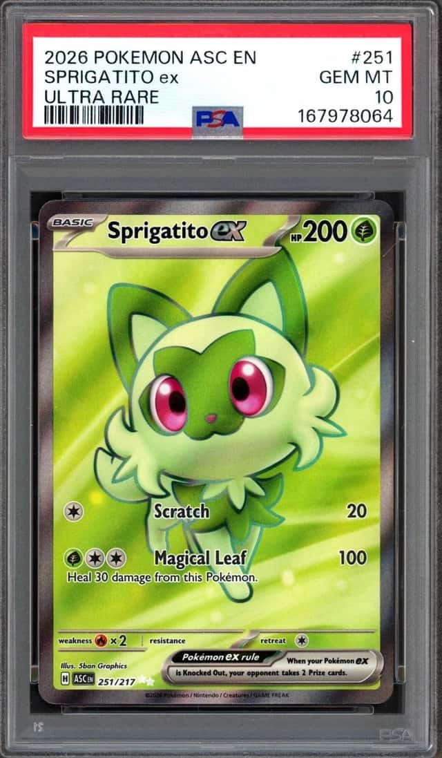 SPRIGATITO ex