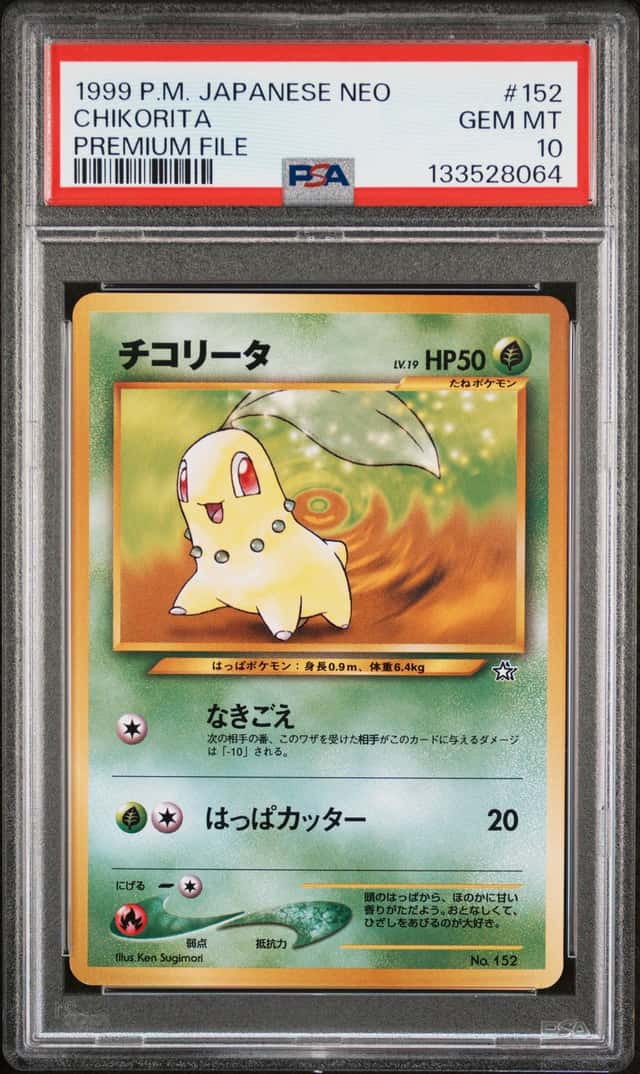 Chikorita