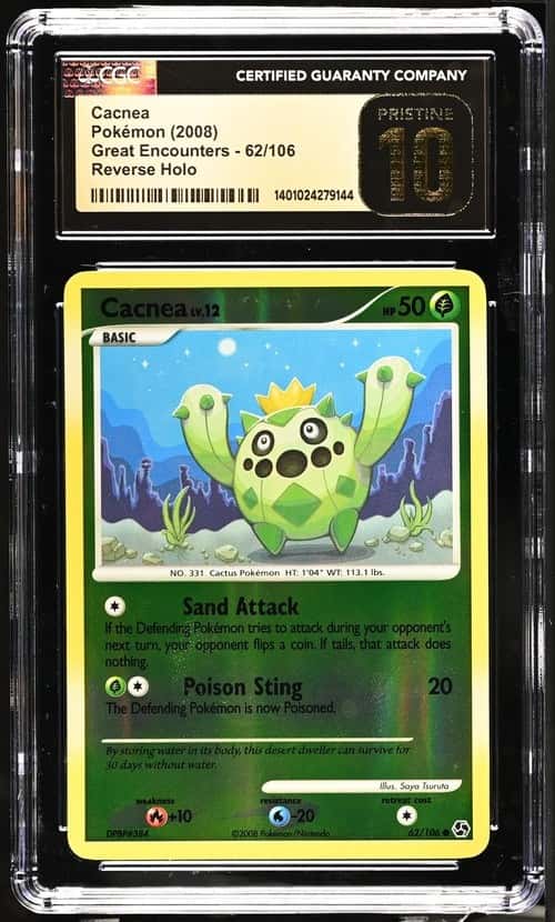 Cacnea