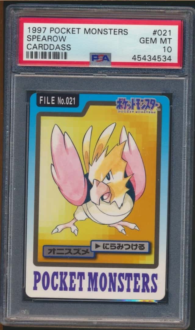 Spearow
