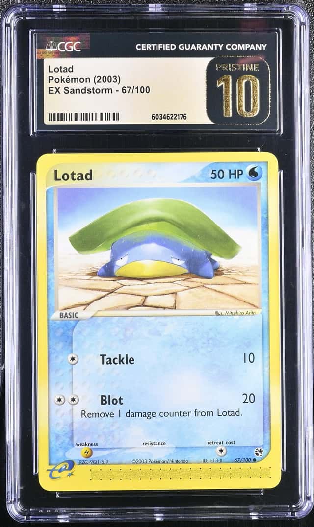 Lotad
