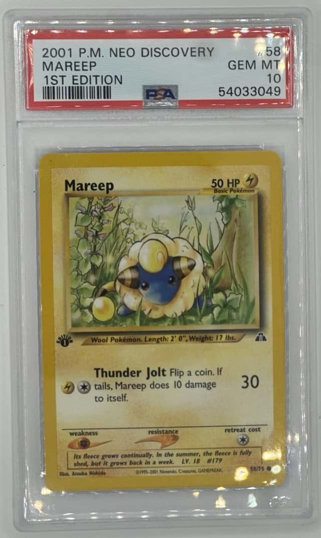 Mareep