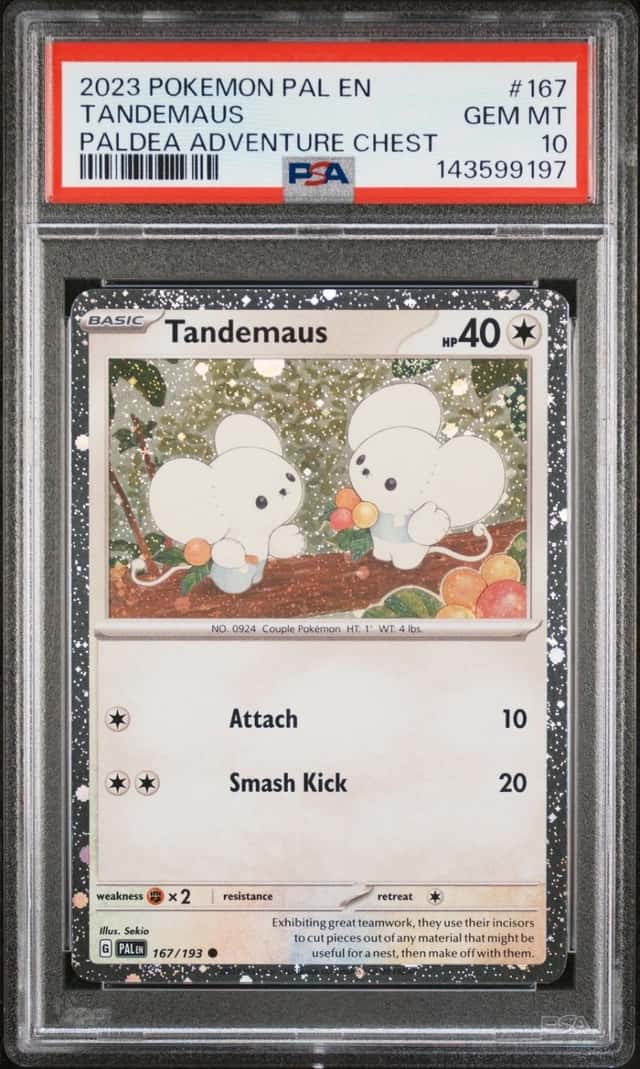 Tandemaus