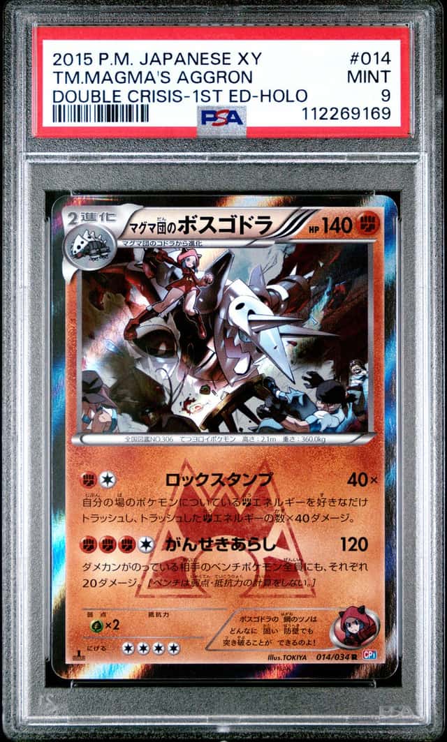 Team Magma's Aggron