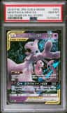 Mewtwo & Mew Gx