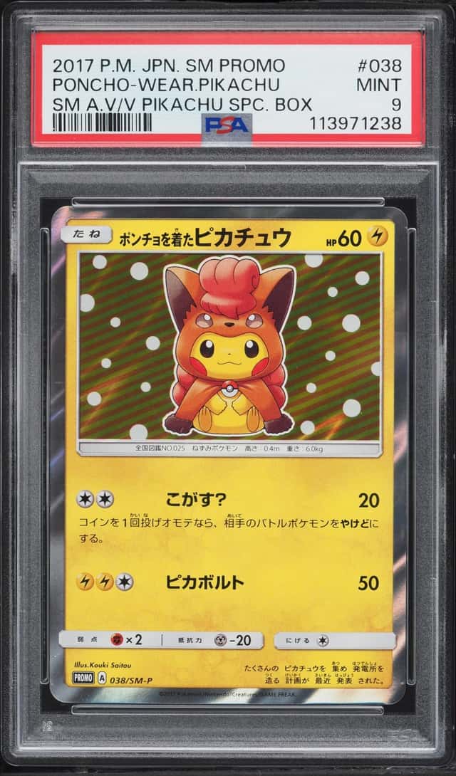 Poncho-Wearing Pikachu