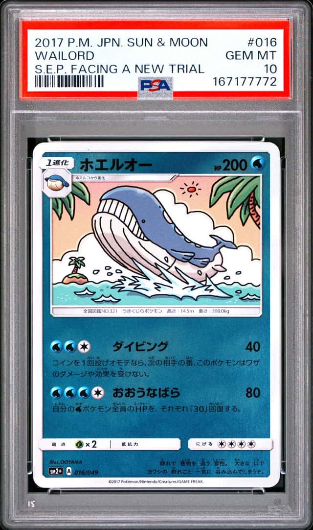 Wailord