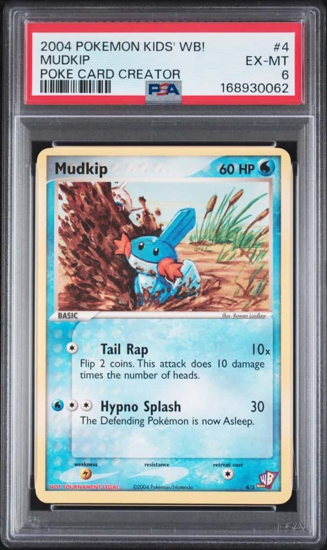 Mudkip