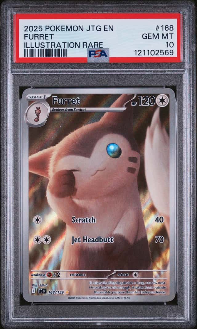 Furret