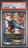 M Sharpedo Ex