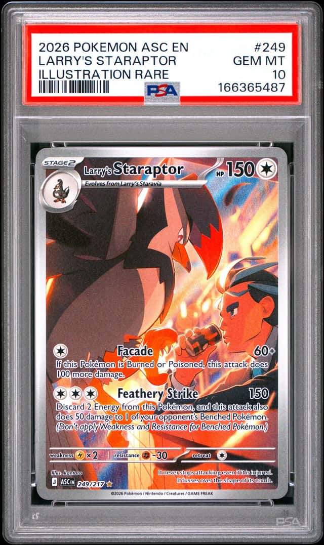 Larry's Staraptor