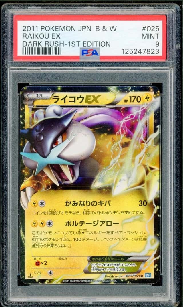 Raikou EX