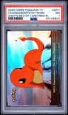 Charmander/stry.pkmn