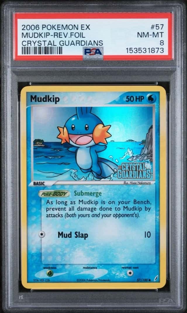 Mudkip
