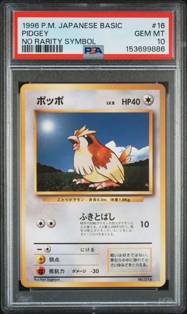Pidgey