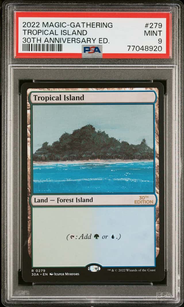 Tropical Island