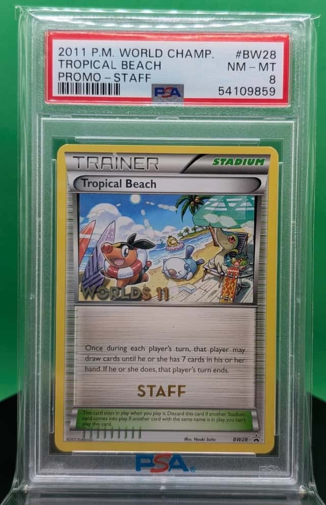 Tropical Beach
