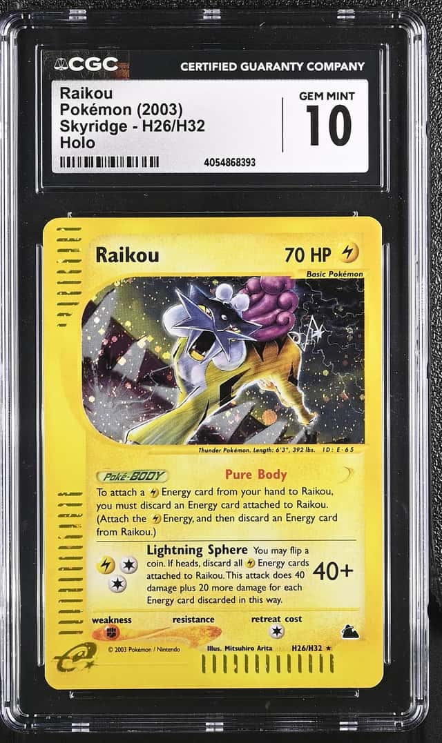Raikou