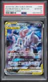 Mewtwo & Mew Gx