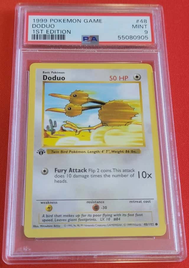 Doduo