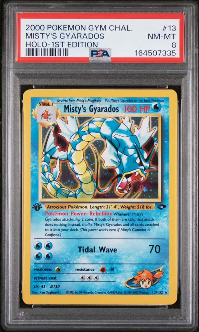 Misty's Gyarados