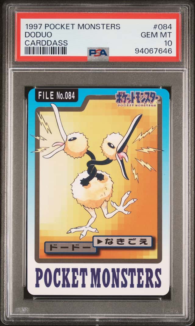 Doduo