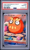 Darumaka