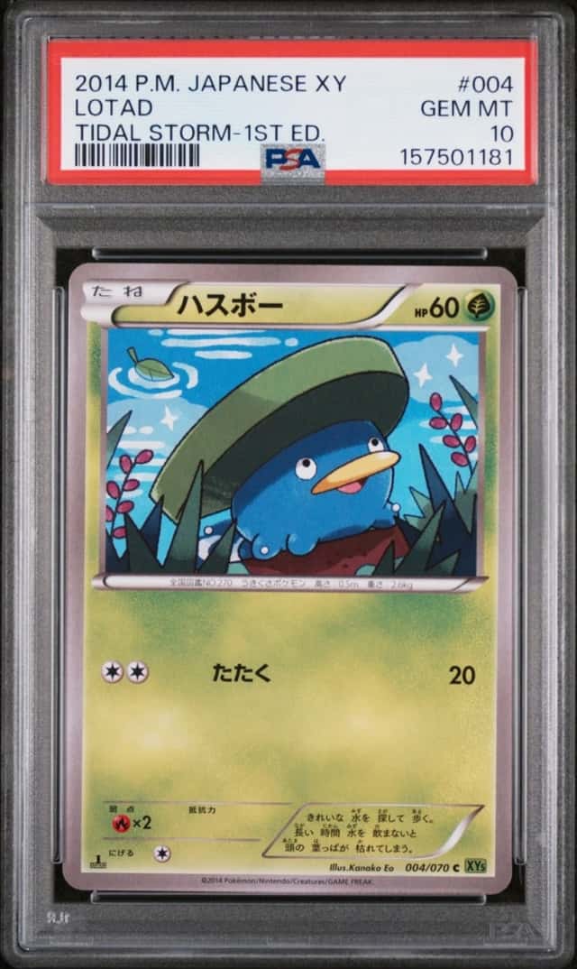 Lotad