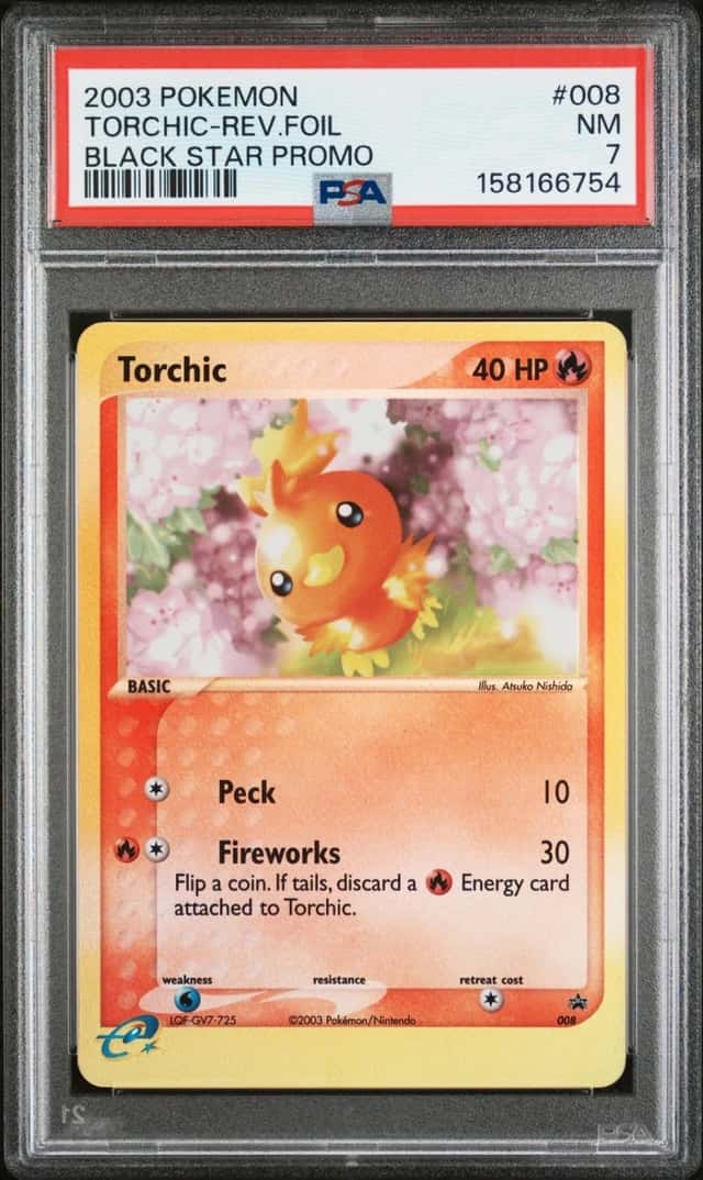Torchic