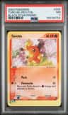 Torchic