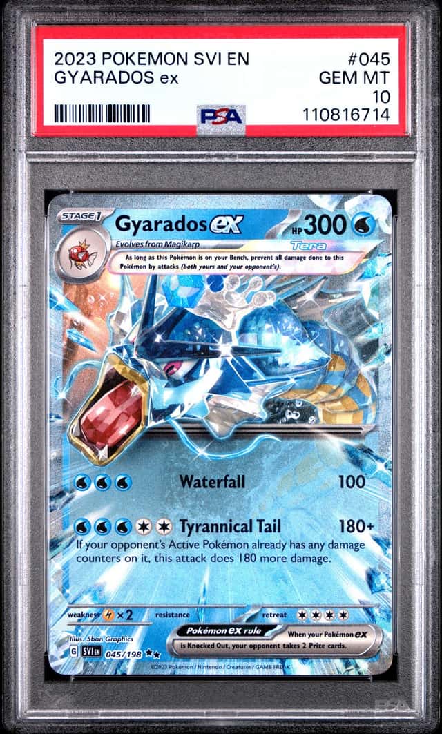 GYARADOS ex